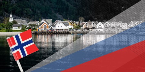 Norveç Hakkında Bilgiler